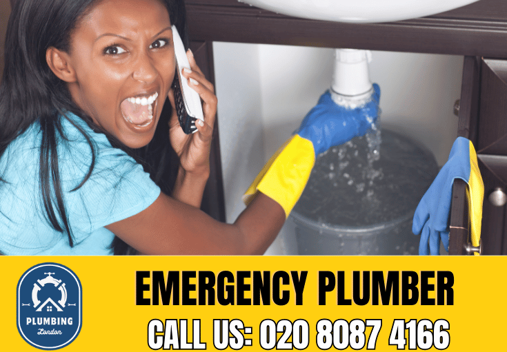 emergency plumber Highburys