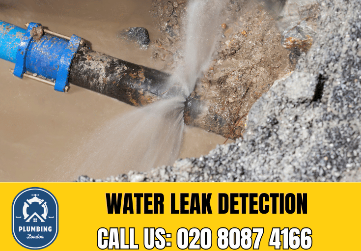 leak detection Highburys